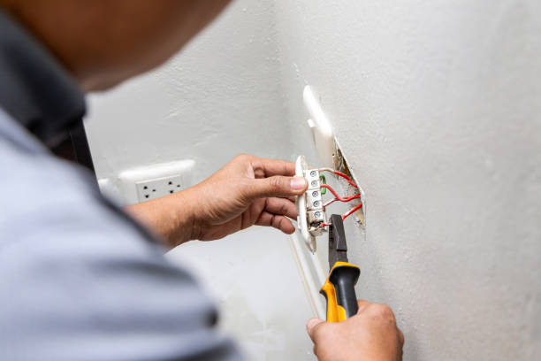 Best Electric Panel Repair  in Sneads Ferry, NC